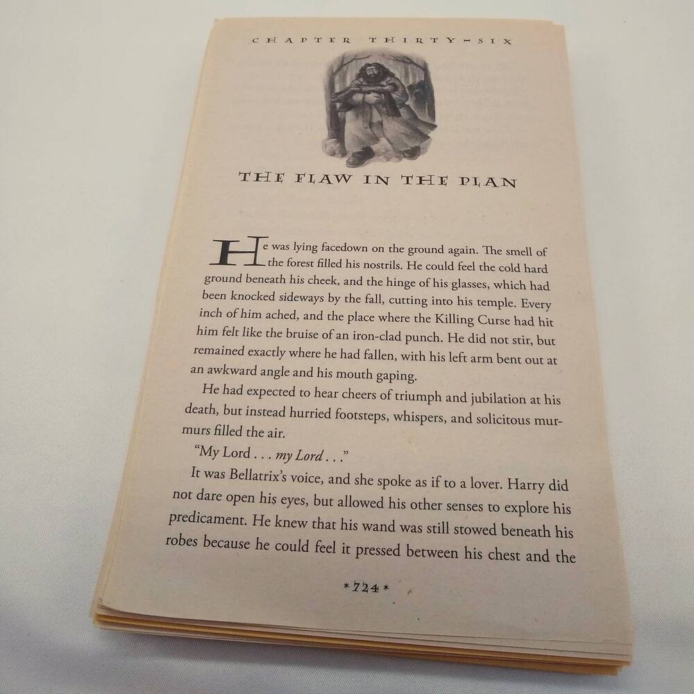 25 Harry Potter Book Page Bundle